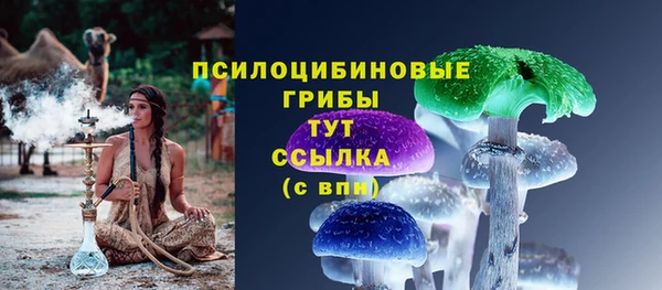 таблы Армянск